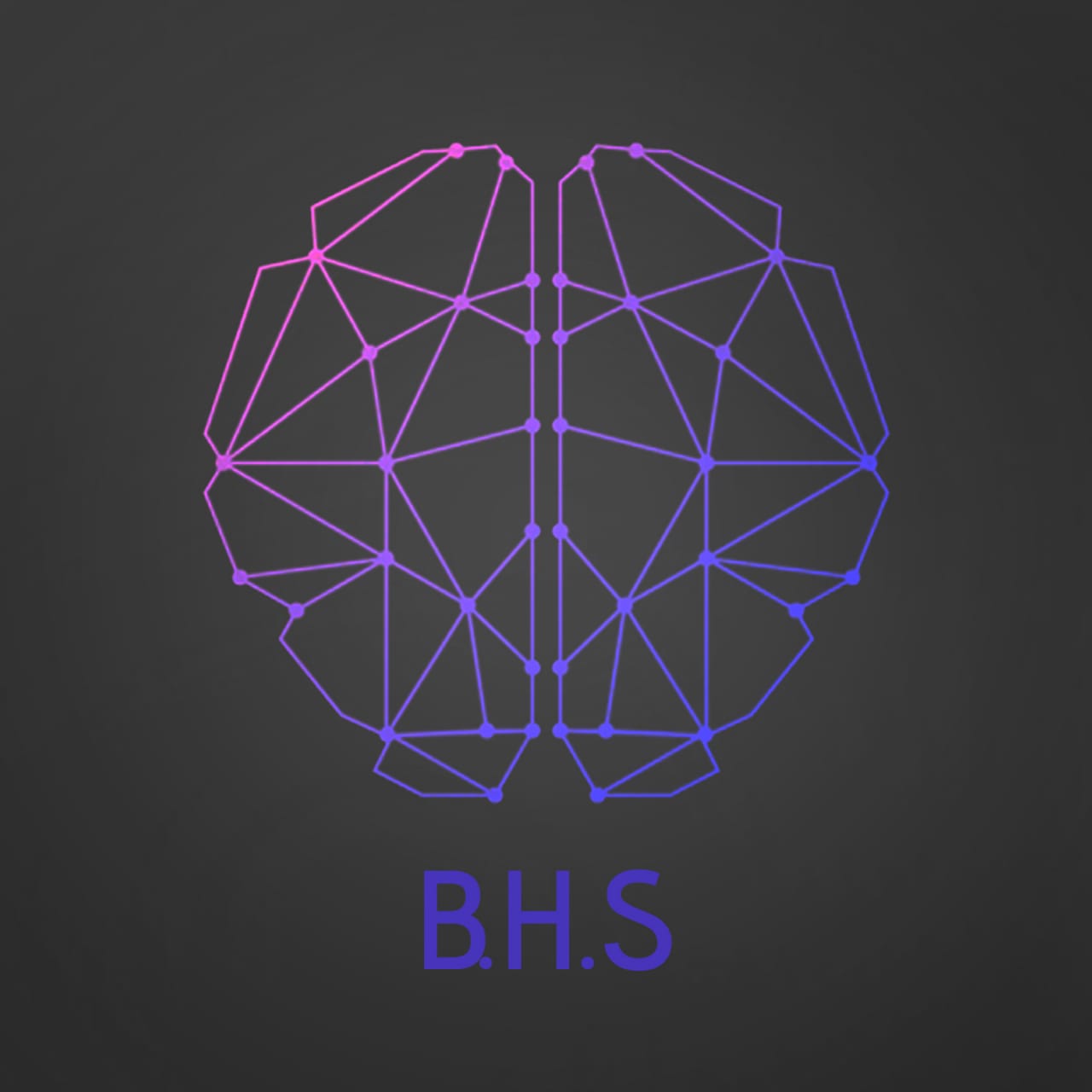 BHS logo 1 - Copy